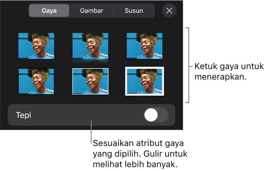 Tab Gaya menu Format dengan gaya objek di bagian atas dan kontrol di bawahnya untuk mengubah tepi.