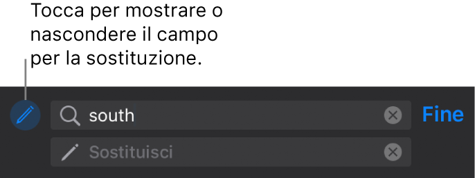 Controlli per la ricerca e la sostituzione del testo.