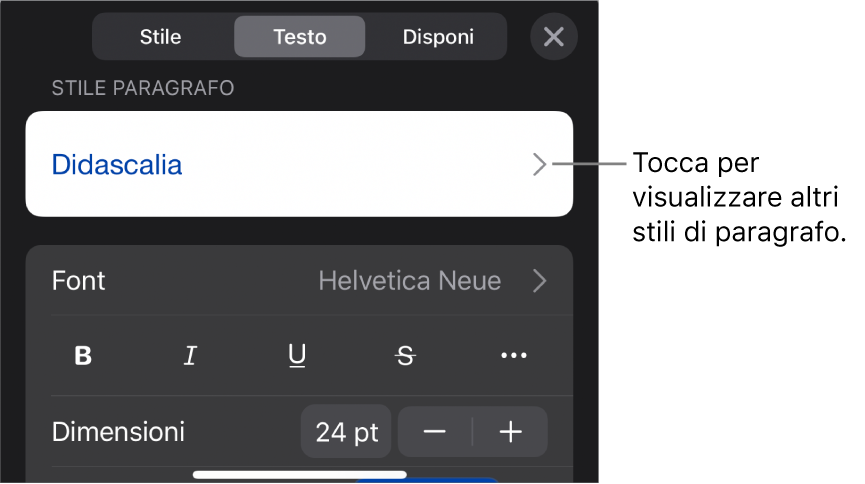 Menu Formato con controlli di testo per impostare stili carattere e paragrafo, font, dimensione e colore.