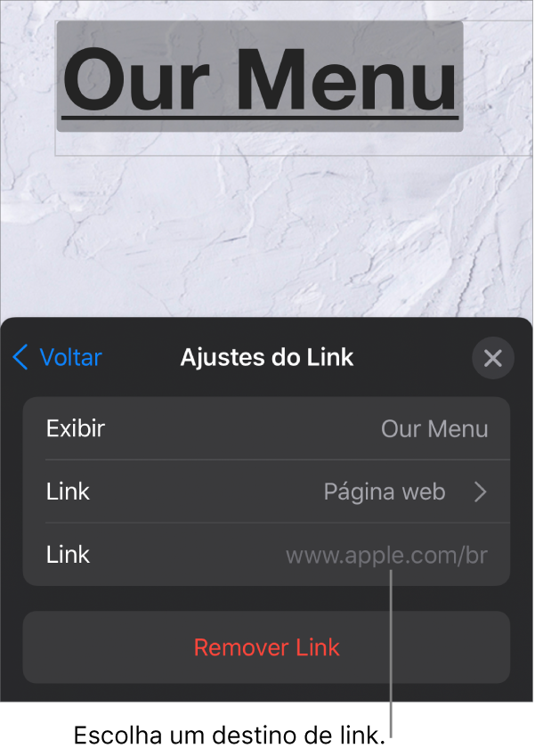 Controles “Ajustes do Link” com os campos Exibir, Link (definido como Página web) e Link. O botão Remover Link está na parte inferior.