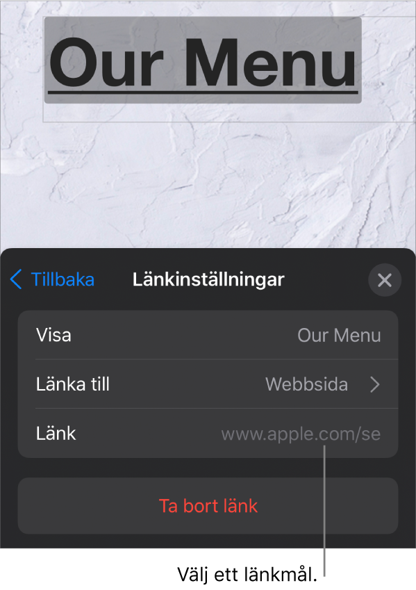 Reglage för länkinställningar med fält för Visa, Länka till (Webbsida är valt) och Länk. Längst ned finns knappen Ta bort länk.