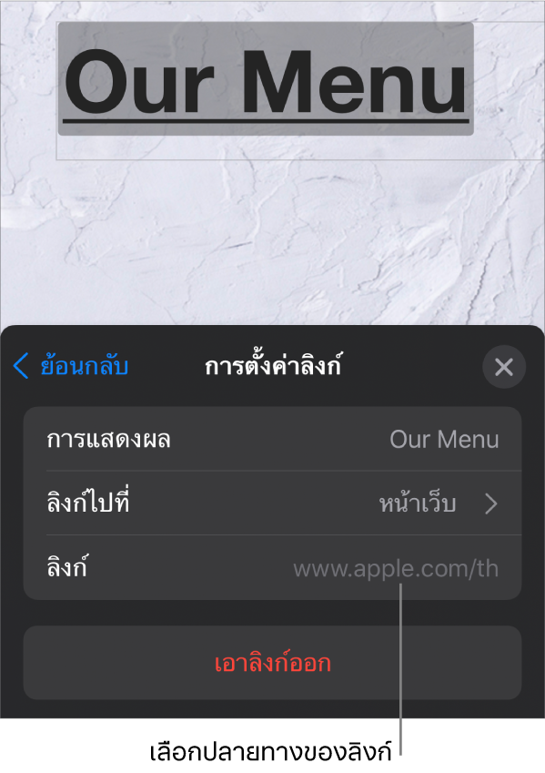 ตัวควบคุมการตั้งค่าลิงก์โดยมีช่องต่างๆ สำหรับการแสดงผล ลิงก์ไปที่ (หน้าเว็บถูกเลือกอยู่) และลิงก์ ปุ่มเอาลิงก์ออกอยู่ด้านล่างสุด