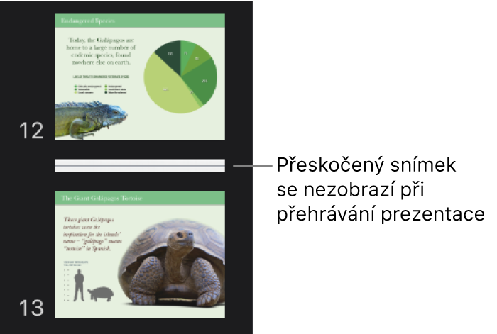 Navigátor snímků s přeskočeným snímkem znázorněným vodorovnou čárou