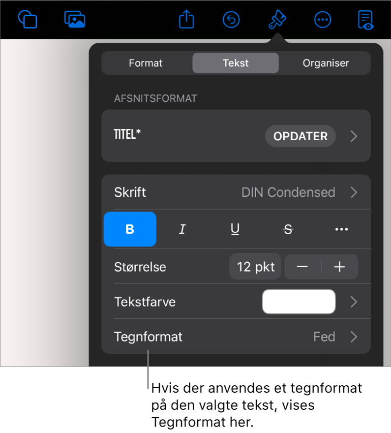 Betjeningsmulighederne til formatering af tekst med Tegnformat under betjeningsmulighederne til farve. Tegnformatet Intet vises med en stjerne.