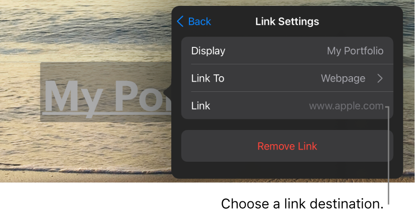 The Link Settings controls with fields for Display, Link To (Webpage is selected), and Link. The Remove Link button is at the bottom.