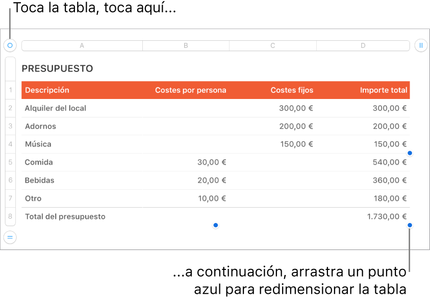 Una tabla seleccionada con puntos azules para redimensionarla.