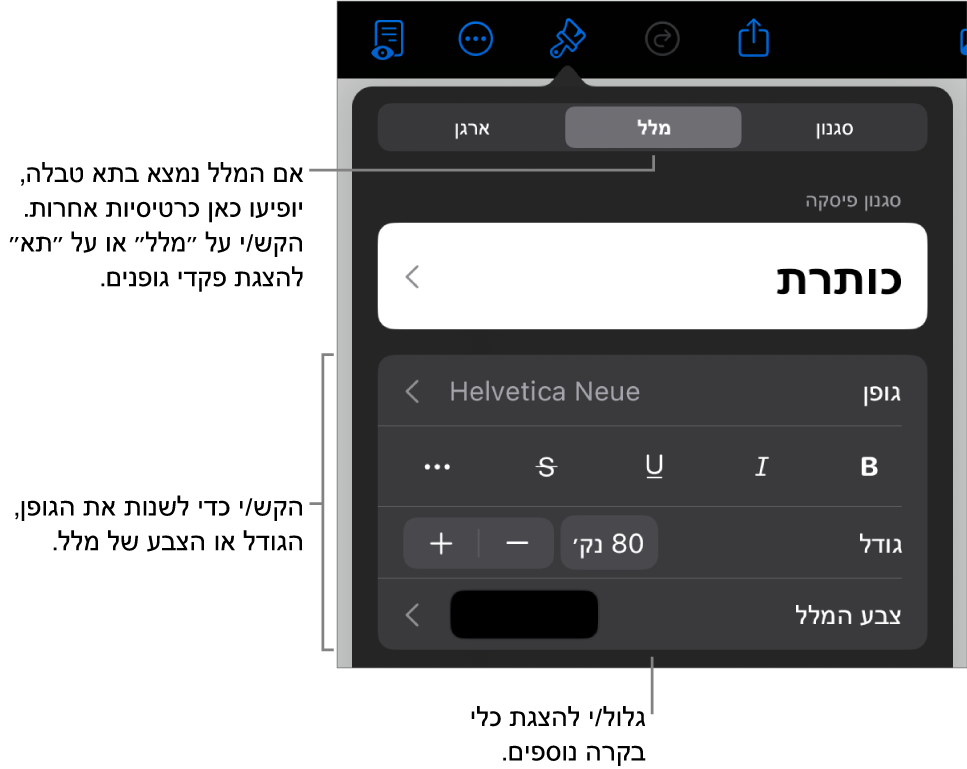 כלי בקרה של מלל בתפריט ״עיצוב״ להגדרת סגנונות, גופן, גודל וצבע עבור פיסקאות ותווים.