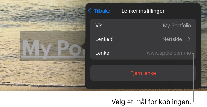 Lenkeinnstillinger-kontrollene med felter for Visning, Lenke til (stilt til Nettside) og Lenke. Fjern Lenke-knappen er nederst.