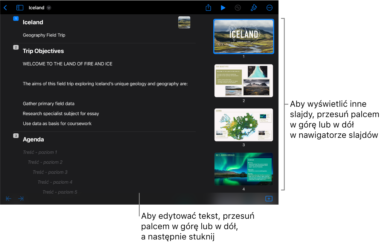 Widok konspektu. Po lewej stronie ekranu widoczny jest konspekt tekstowy. Po prawej stronie ekranu widoczny jest pionowy nawigator slajdów.