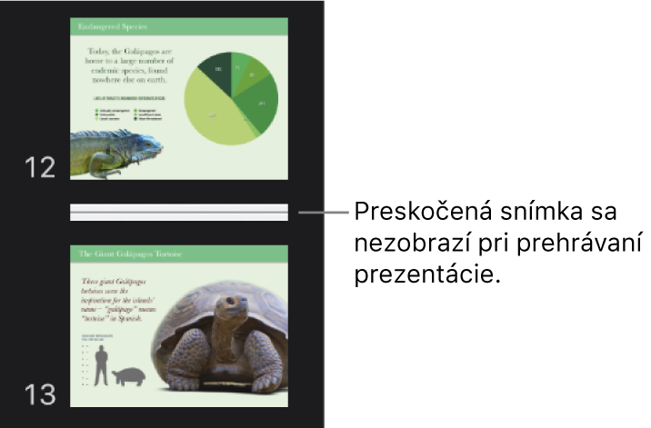 Navigátor snímok s preskočenou snímkou zobrazenou ako vodorovná čiara.