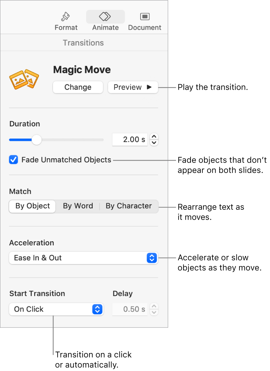 Magic Move transition controls in the Transitions section of the Animate sidebar.