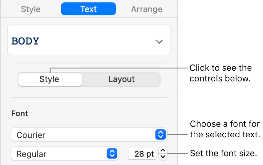 Text controls in the Style section of the sidebar for setting font and font size.