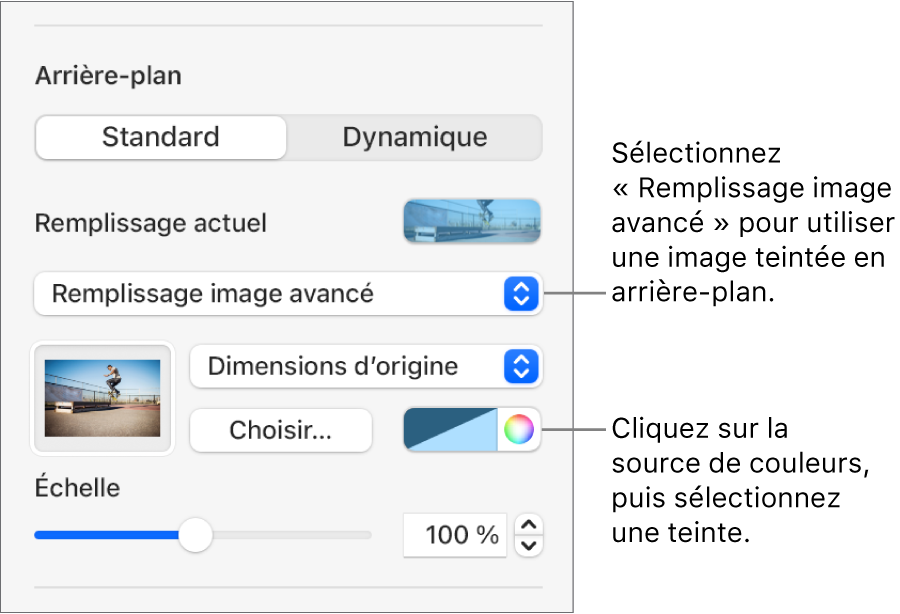 Les commandes Arrière-plan avec un remplissage image avancé teinté pour l’arrière-plan des diapositives.