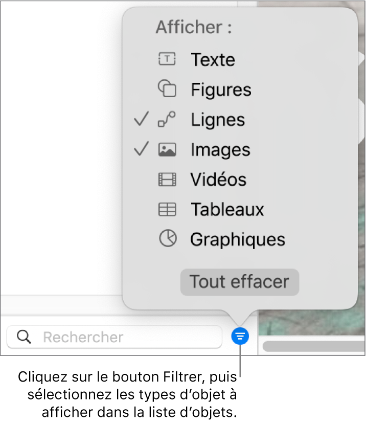 Le menu local Filtrer ouvert, avec les types d’objets qui peuvent être compris dans la liste (texte, figures, lignes, images, films, tableaux et graphiques).