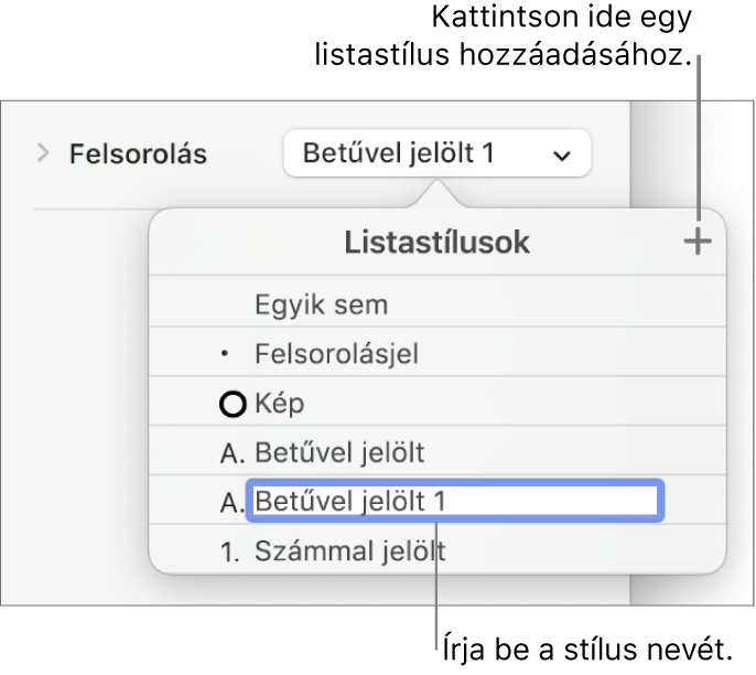 A Listastílusok előugró menü a felső sarokban található Hozzáadás gombbal és egy helyőrző stílusnévvel, amelynek szövege ki van jelölve.