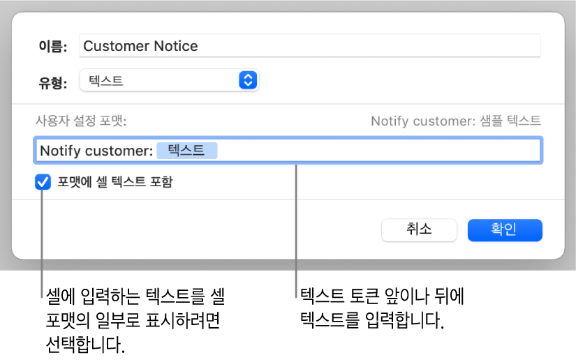 사용자 텍스트 셀 포맷.