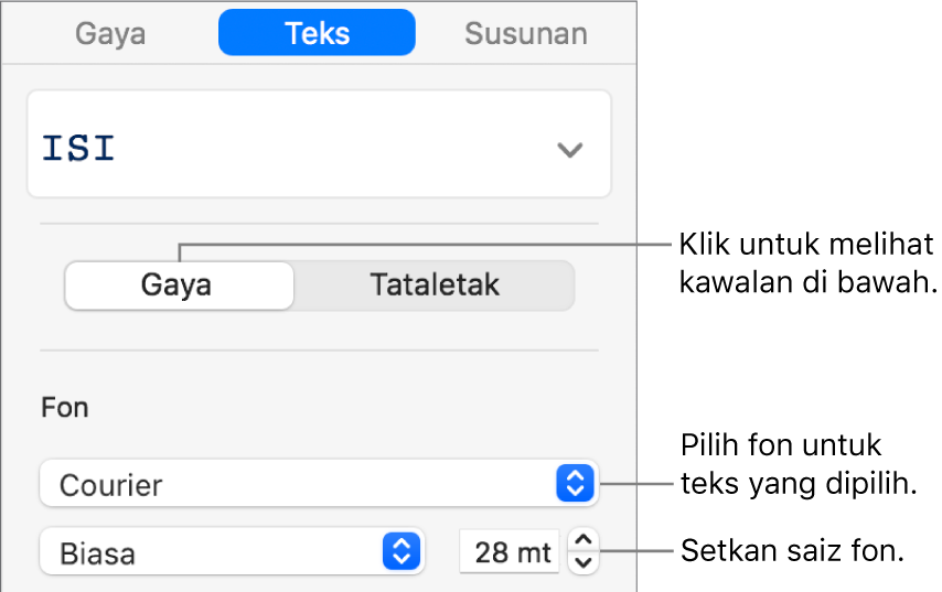 Kawalan Teks dalam bahagian Gaya pada bar sisi untuk mengesetkan fon dan saiz fon.