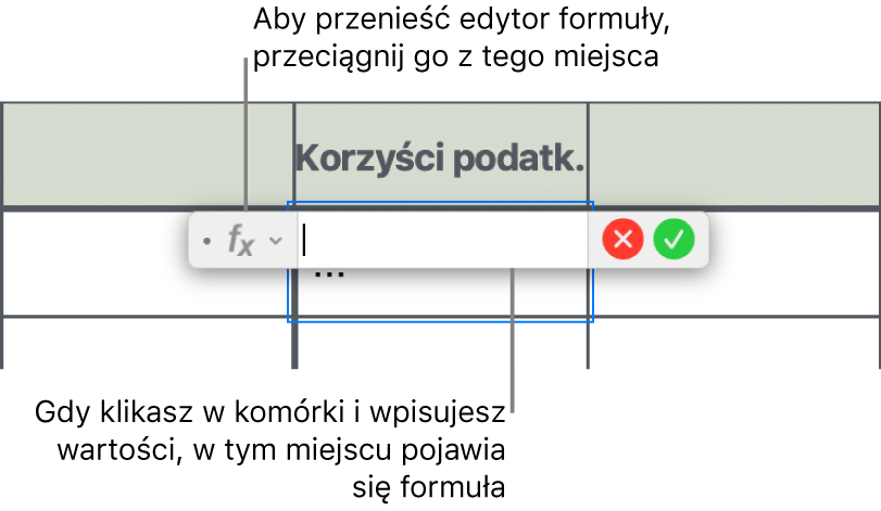 Edytor formuł.