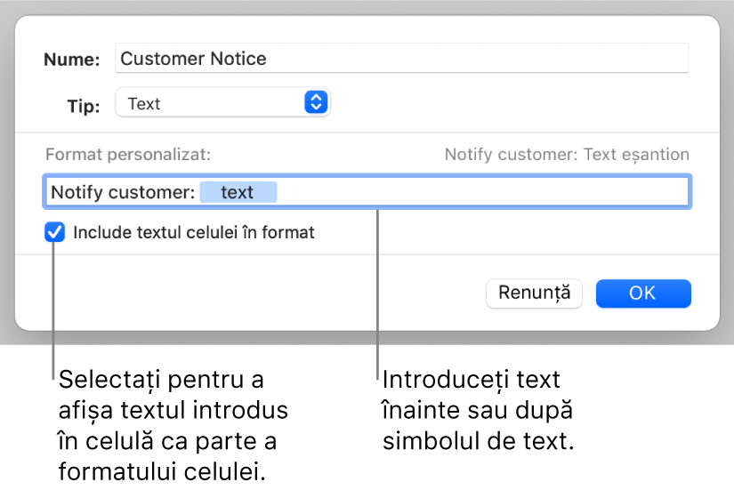 Format de text personalizat de celulă.