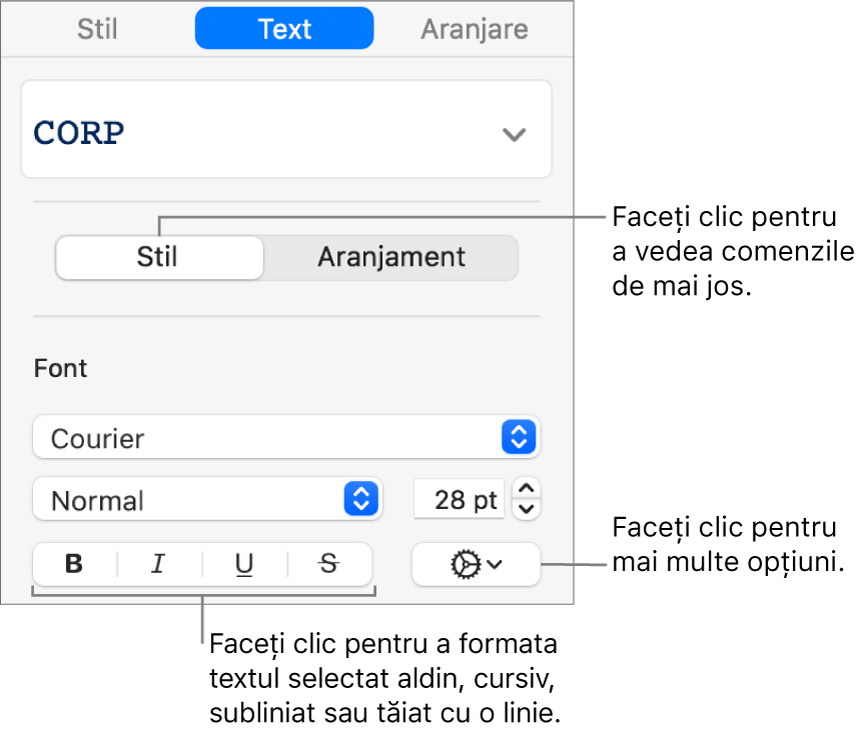 Comenzile pentru Stil din bara laterală cu explicații la butoanele Aldin, Cursiv, Subliniat și Tăiat cu o linie.