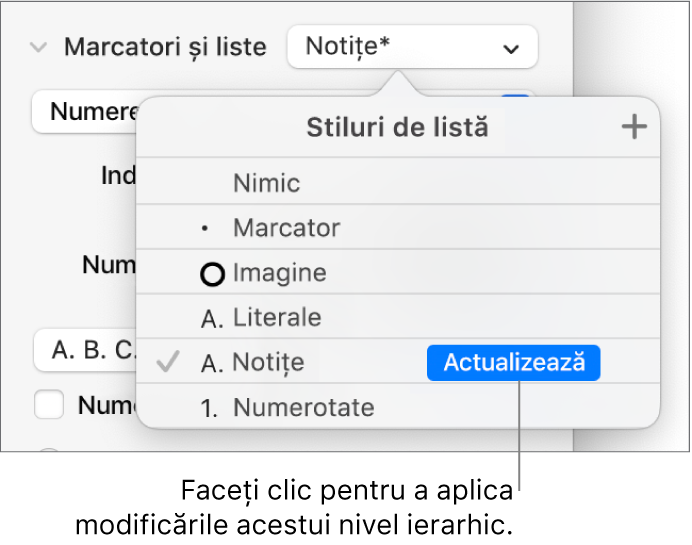 Meniul pop-up Stiluri de listă, cu un buton Actualizează lângă numele noului stil.