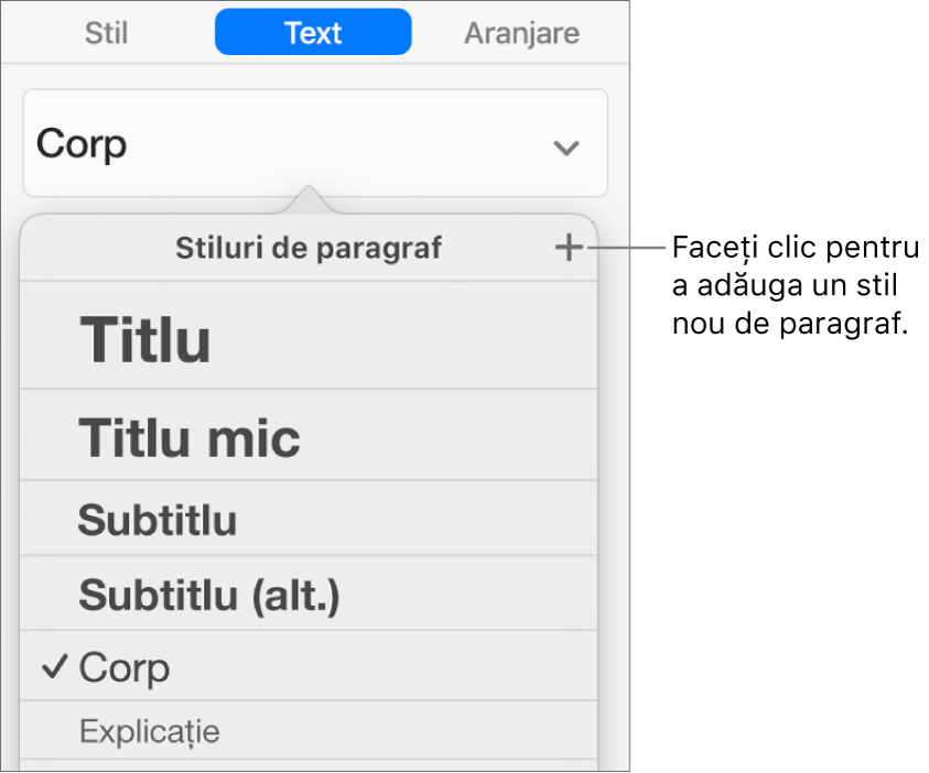 Meniul Stiluri de paragraf cu explicație la butonul Stil nou.