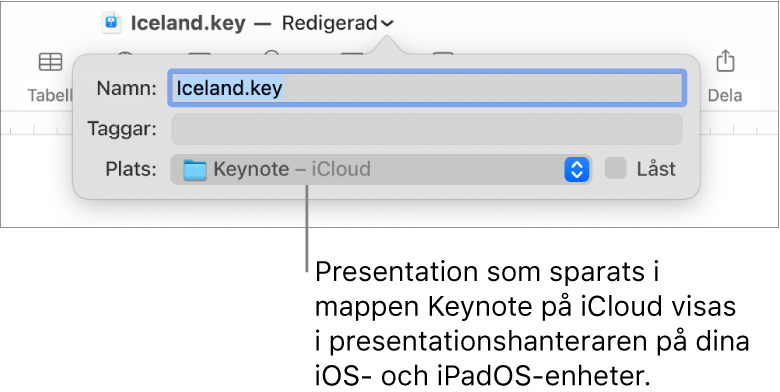 Dialogrutan Spara för en presentation med Keynote – iCloud i popupmenyn Plats.