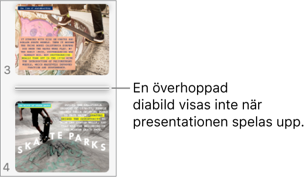 Diabildsnavigatorn med en överhoppad bild som visas som en horisontell linje.