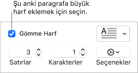 İlki Büyük Harf onay kutusu seçilidir ve sağında bir açılır menü görünür; satır yüksekliğini, karakter sayısını ve diğer seçenekleri ayarlama denetimleri ise altında görünür.