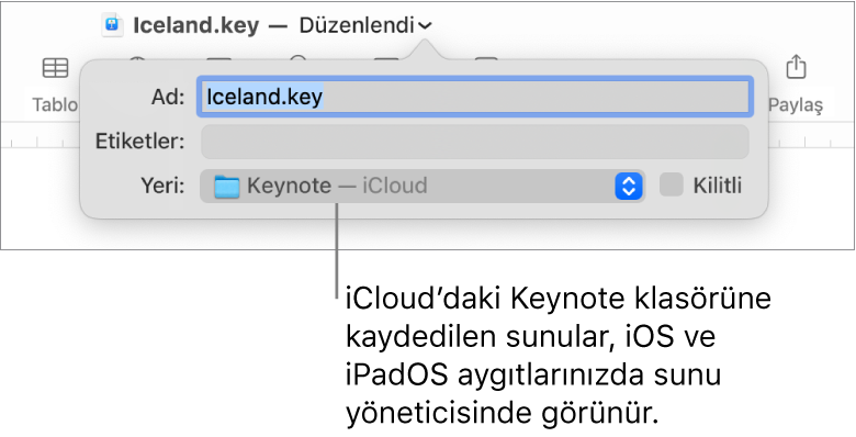 Yer açılır menüsünde Keynote—iCloud olan bir sunu için Kaydet sorgu kutusu.