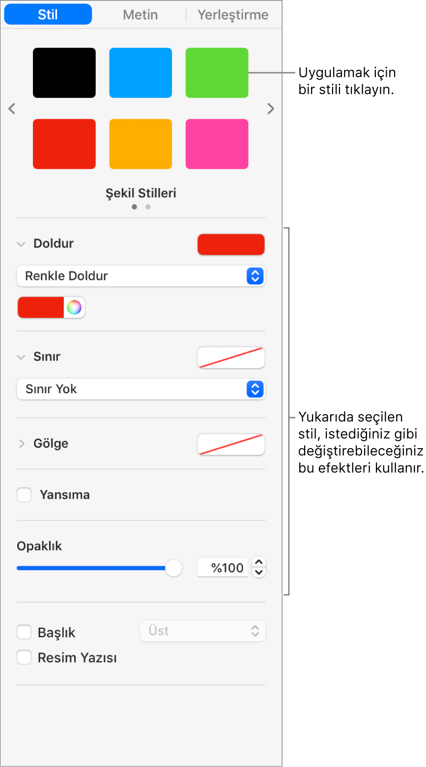 Kenar çubuğunun Biçim bölümündeki şekil stilleri ve seçenekleri.