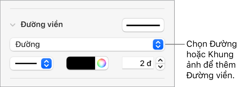 Các điều khiển Kiểu viền trong thanh bên Định dạng với Đường được chọn dưới dạng kiểu viền.