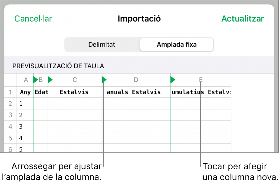 Els paràmetres d’importació d’un arxiu de text d’amplada fixa.