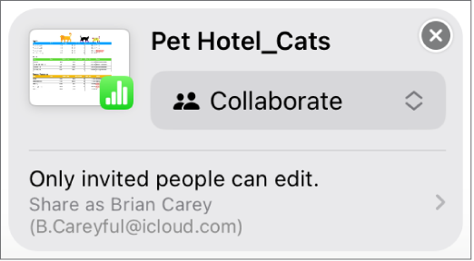An invitation to collaborate in Messages confirms access privileges.