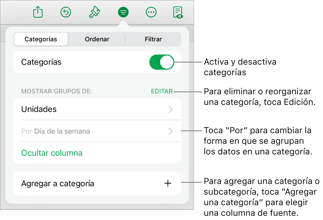 El menú Categorías del iPad con opciones para desactivar las categorías, eliminar categorías, reagrupar datos, ocultar una columna origen y agregar categorías.