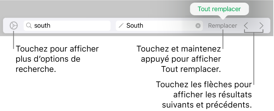 Commandes de recherche et de remplacement de texte.