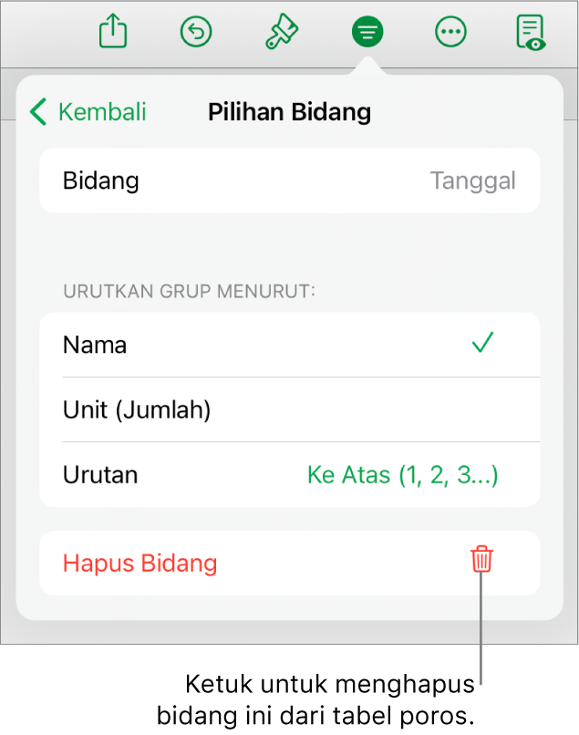 Menu Pilihan Bidang, menampilkan kontroll untuk mengelompokkan dan mengurutkan data, serta pilihan untuk menghapus bidang.