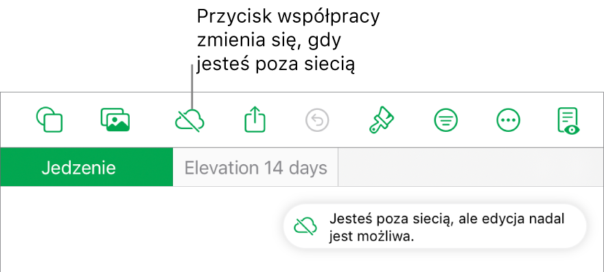 Przyciski na górze ekranu; przycisk współpracy wyświetlany jest jako chmura przekreślona ukośną linią. Alert zawierający następującą informację: Brak połączenia z siecią, ale edycja nadal jest możliwa.