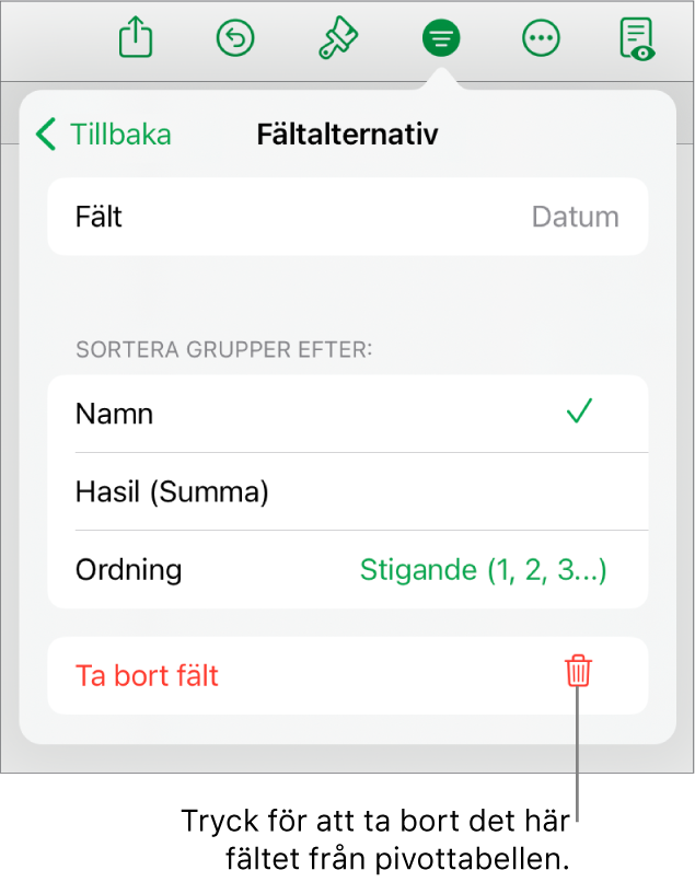 Menyn Fältalternativ visar reglage för att gruppera och sortera data samt alternativet att ta bort ett fält.