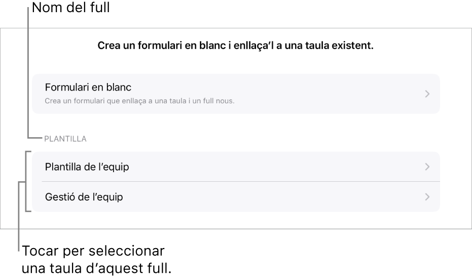 Una llista de taules que són al mateix full de càlcul, amb l’opció per crear un formulari en blanc a la part superior.