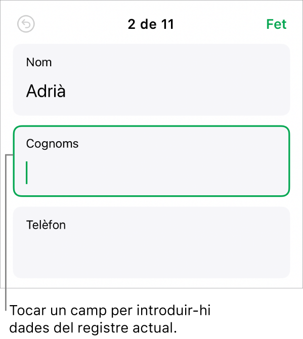 Un registre d’un formulari en què es mostra un camp actiu amb un punt d’inserció.