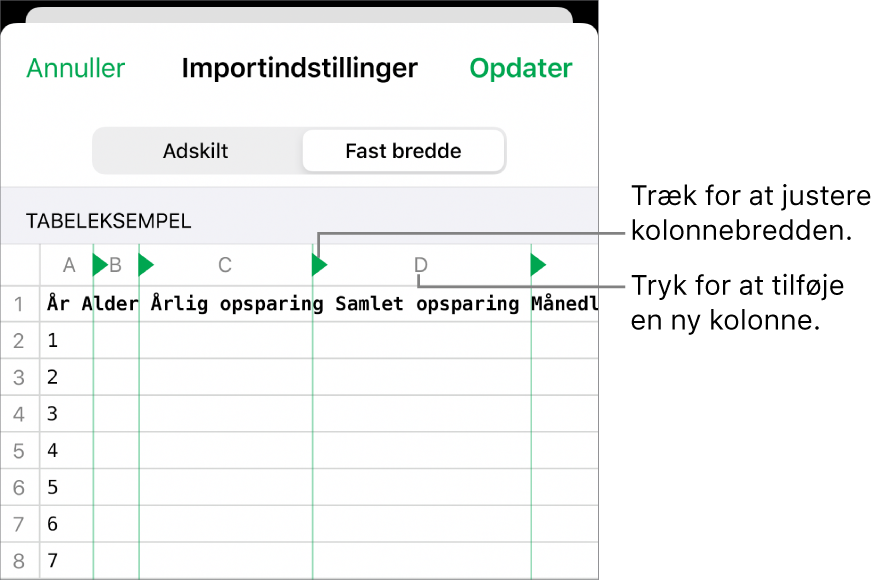 Importindstillingerne til et tekstarkiv med fast bredde.