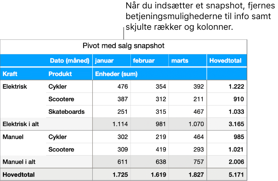 Snapshot af en pivottabel.