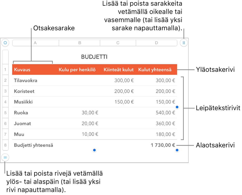 Taulukko, jossa näkyy yläotsake-, leipäteksti- ja alaotsakerivejä ja -sarakkeita sekä kahvoja rivien tai sarakkeiden lisäämiseen tai poistamiseen.