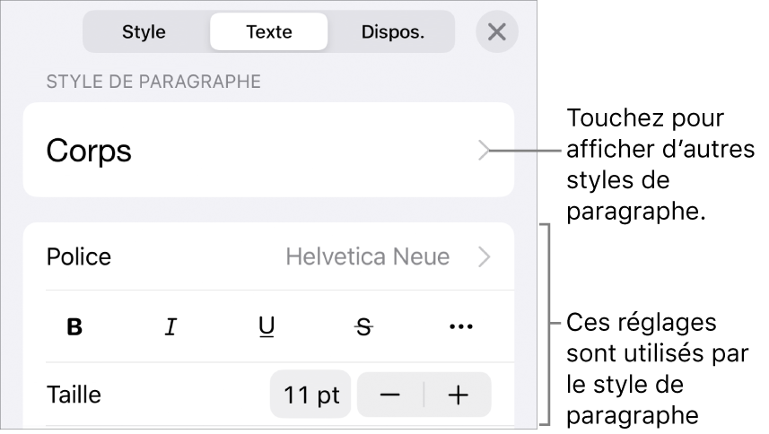Menu Format avec commandes de texte permettant de définir les styles, la police, la taille et la couleur des paragraphes et des caractères.