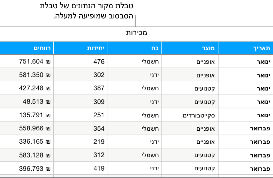 טבלה עם נתוני המקור, שבה רואים את מספר היחידות שנמכרו ואת הרווחים ממכירת אופניים, קטנועים וסקייטבורדים, לפי חודש וסוג המוצר (רגיל או חשמלי).