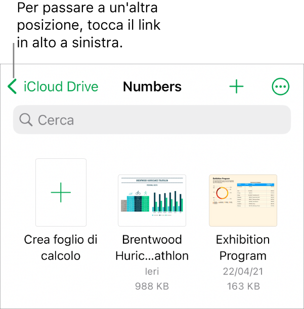 Il gestore fogli di calcolo per iPhone.