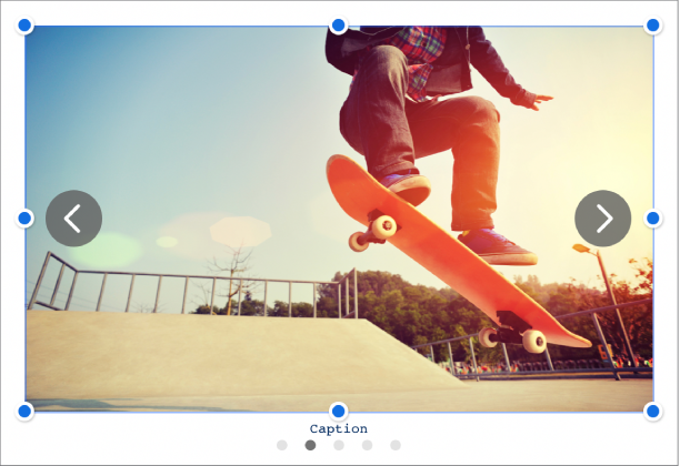 5個のイメージが含まれているイメージ・ギャラリー・オブジェクト。下にキャプション、左側と右側にナビゲーション矢印が表示されています。