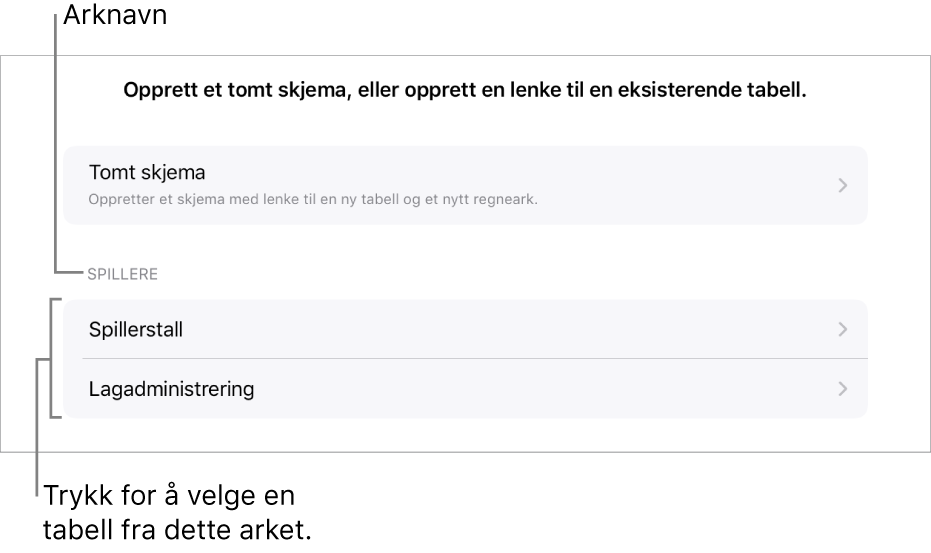 En liste med tabeller som er i samme regneark med mulighet for å opprette et tomt skjema øverst.