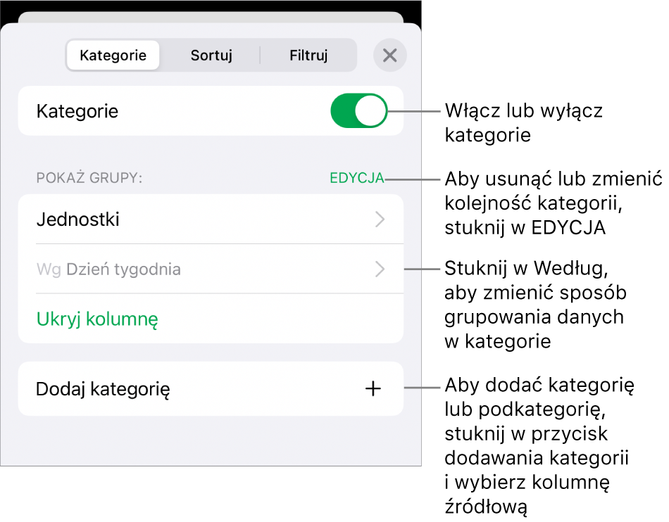 Menu Kategorii dla iPhonie z opcjami wyłączania lub usuwania kategorii, przegrupowywania danych, ukrywania kolumny źródłowej oraz dodawania kategorii.